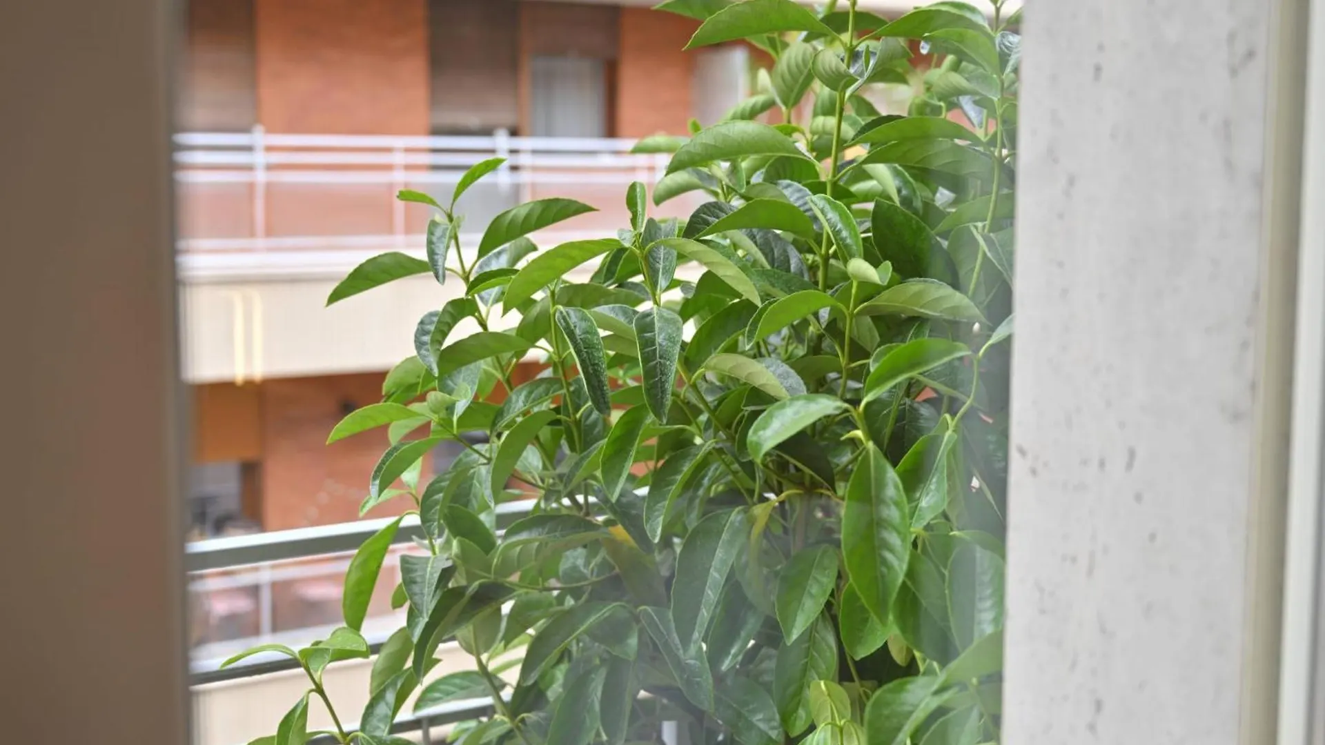 Ponte Di Tappia Suites Naples